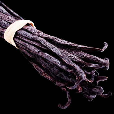 Yodeyma Temis