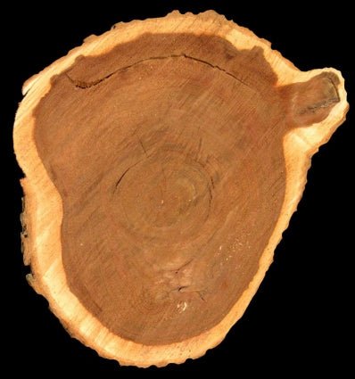 Yodeyma Transparencia