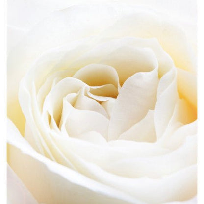 Yodeyma Nicolás White